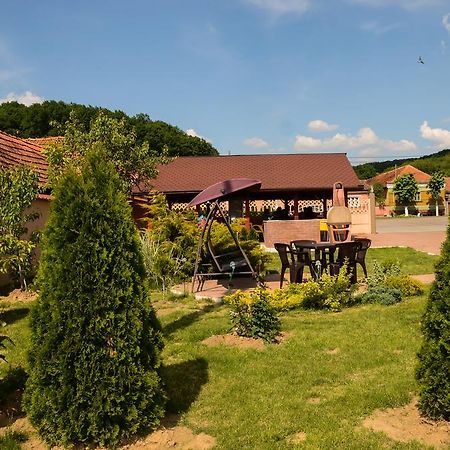Pensiunea Anca Băile Felix Zewnętrze zdjęcie